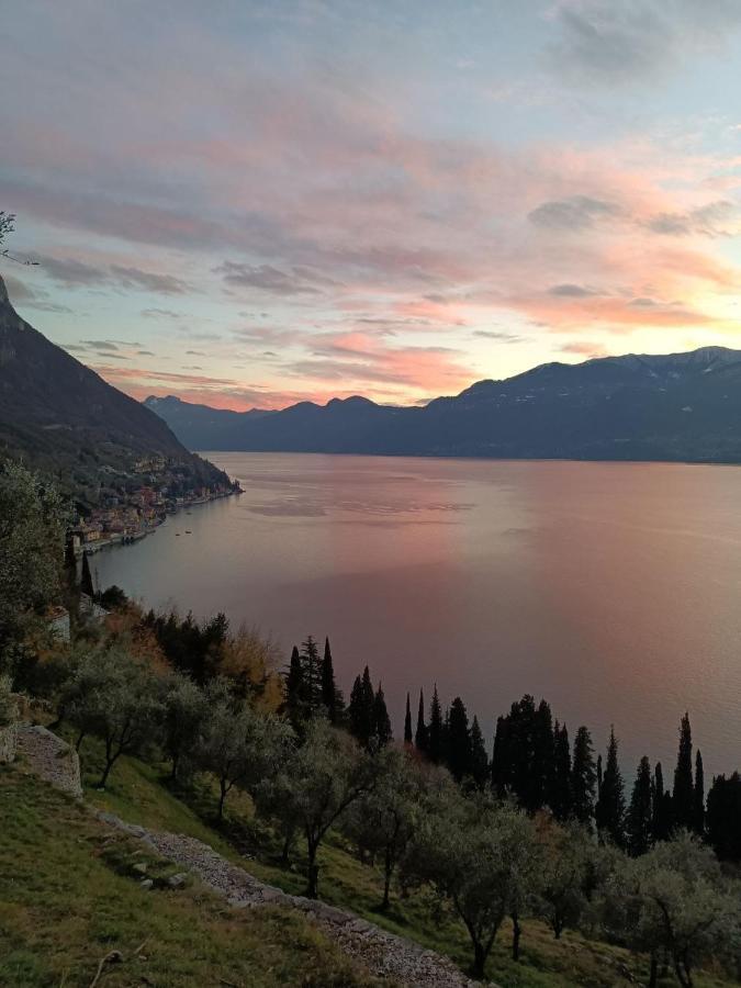 Casa Almut: alla scoperta del fascino del Centro Lago di Como Perledo Esterno foto
